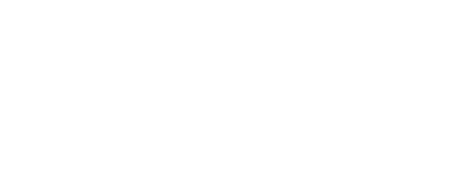 Investor 1