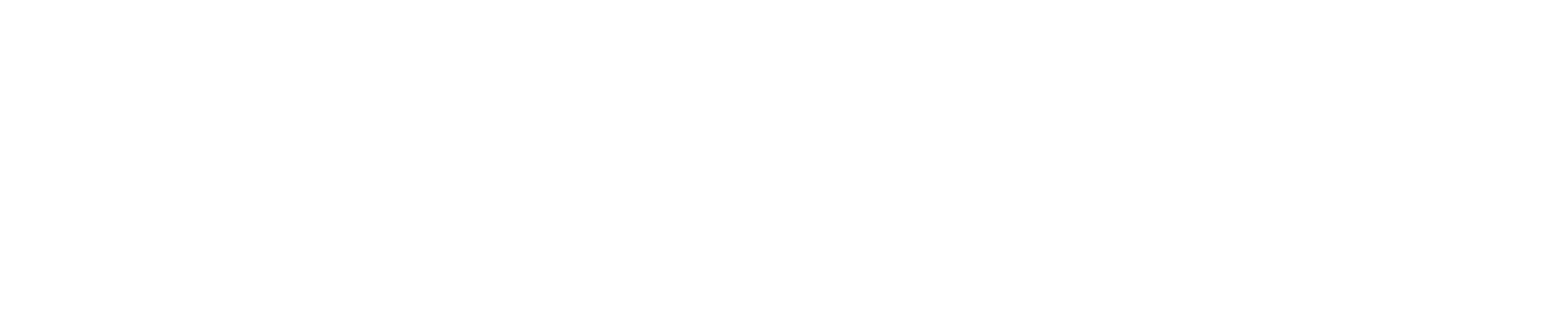 Investor 5